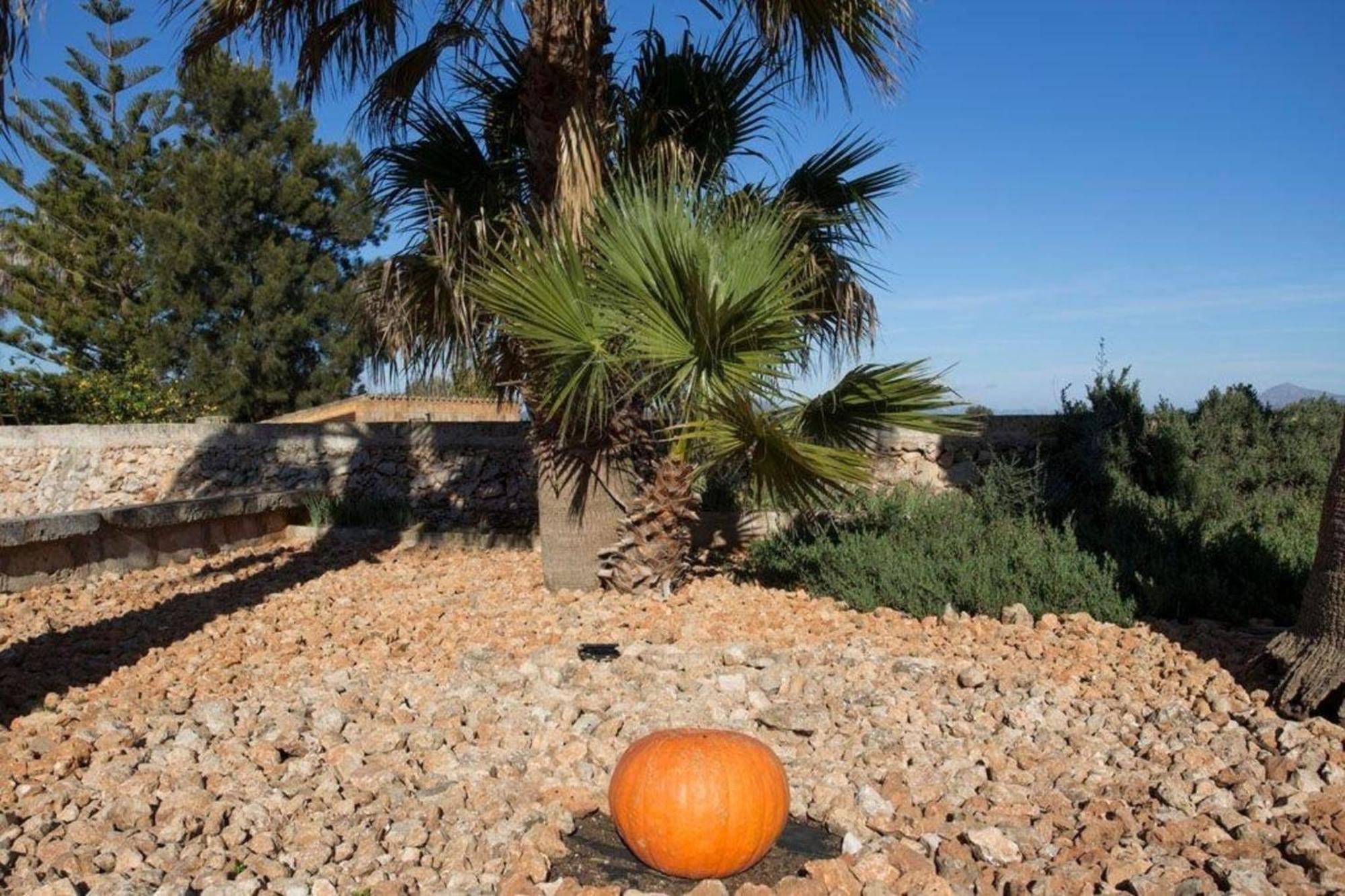 Mit Privatpool Fuer 8 Personen Ca 160 Qm In Muro, Mallorca Nordkueste Von Mallorca Ferienhaus Muro