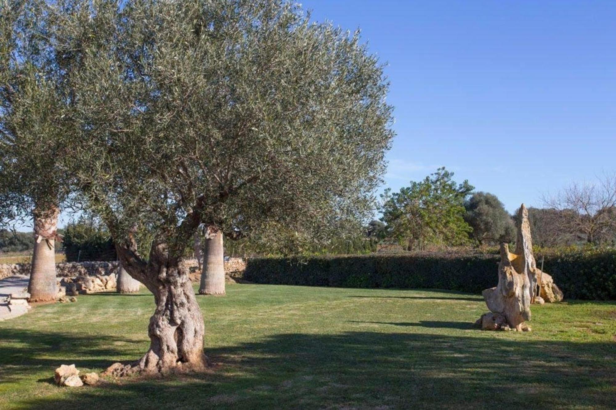 Mit Privatpool Fuer 8 Personen Ca 160 Qm In Muro, Mallorca Nordkueste Von Mallorca Ferienhaus *